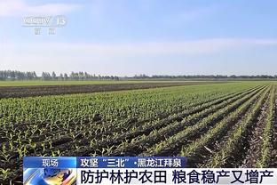 邮报：哈兰德受够食堂饭菜，叫曼城派人去挪威采购并学做三文鱼